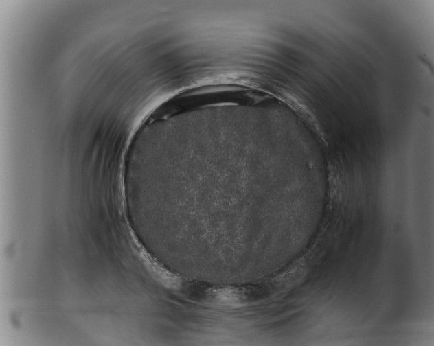 X0000100230792200806061408