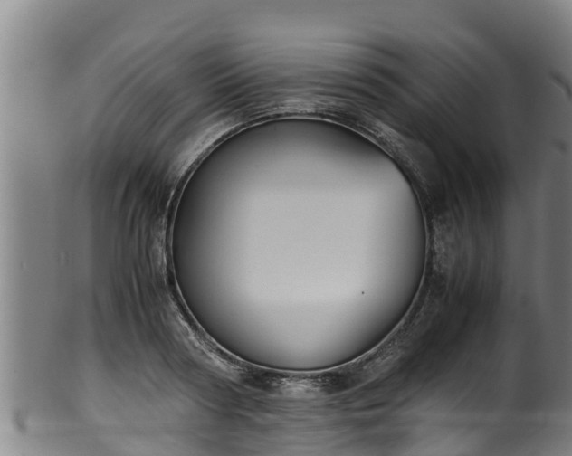 X0000100230794200806061408