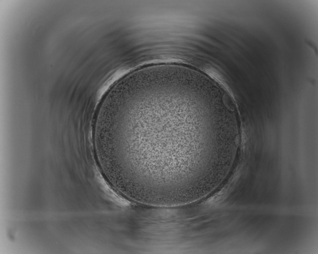 X0000100230797200806061408