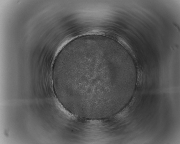 X0000100230800200806061408