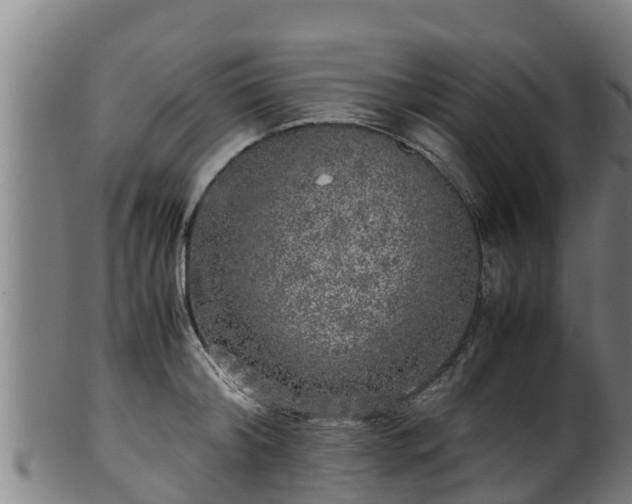 X0000100230804200806061408