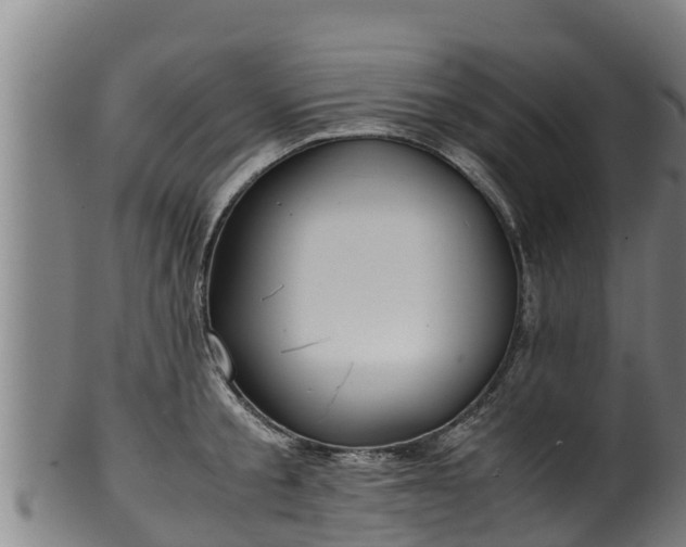 X0000100230805200806061408