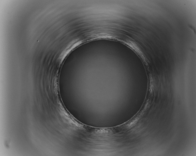 X0000100230806200806061408