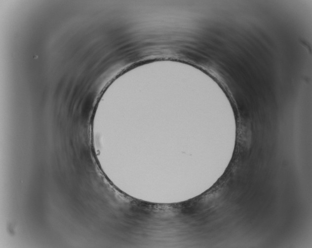 X0000100230807200806061408