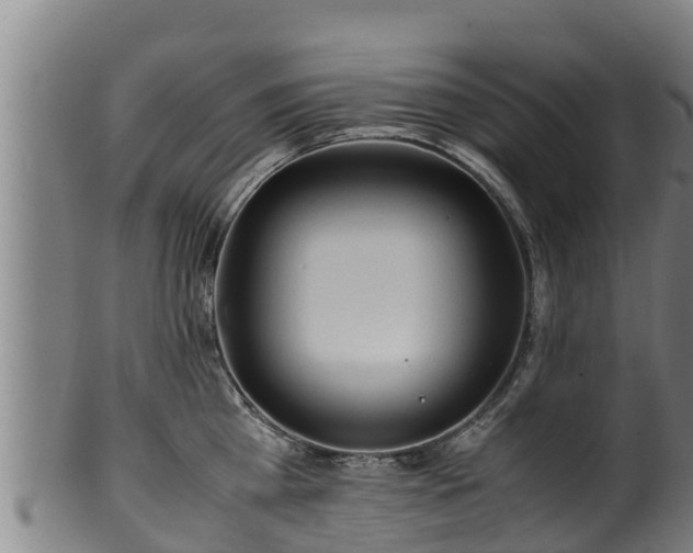 X0000100230809200806061408