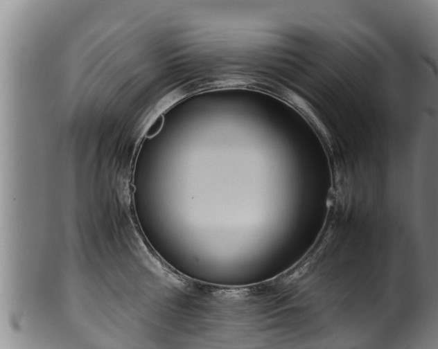 X0000100230810200806061407