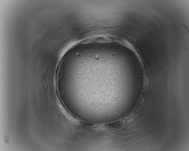 X0000100230811200806061407