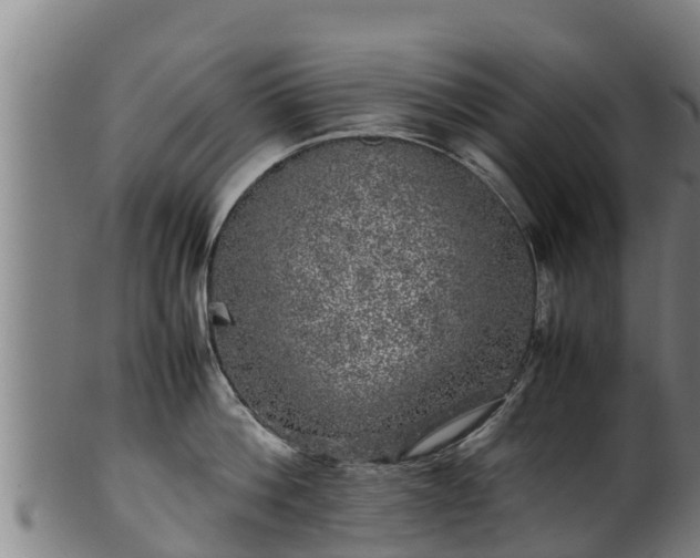 X0000100230812200806061407