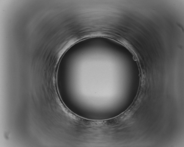 X0000100230813200806061407