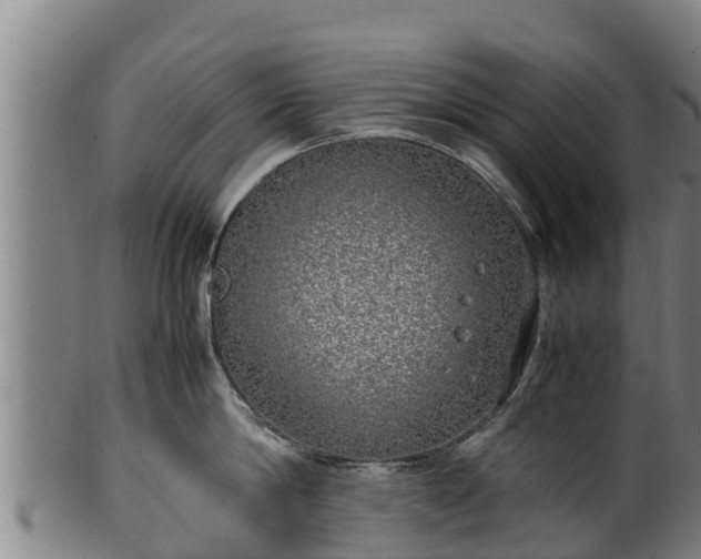 X0000100230814200806061407