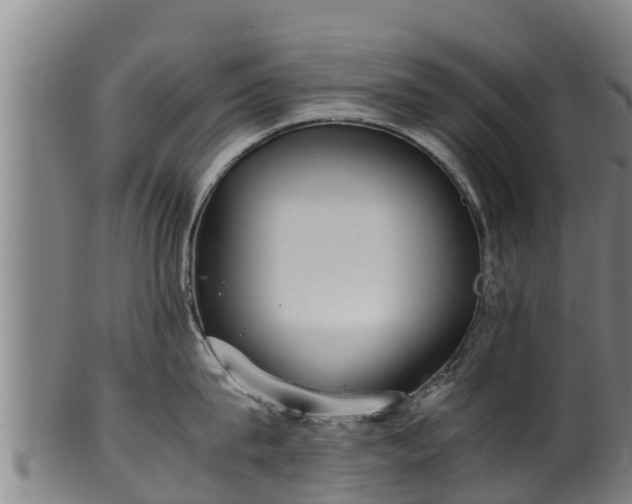 X0000100230815200806061407