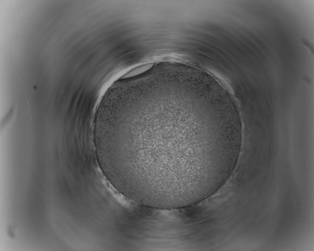 X0000100230816200806061407