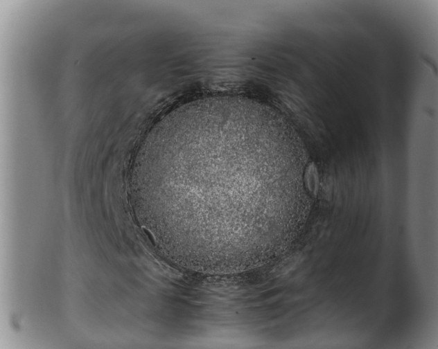 X0000100230817200806061407