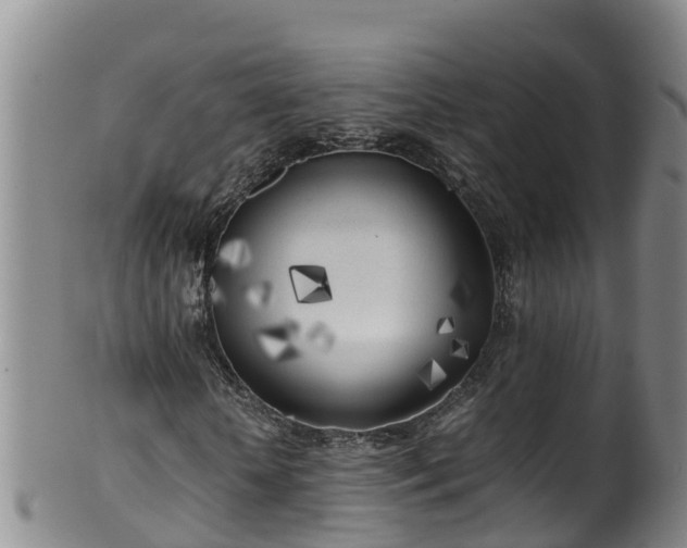 X0000100230818200806061407