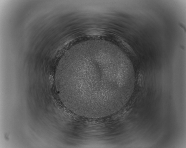 X0000100230821200806061407