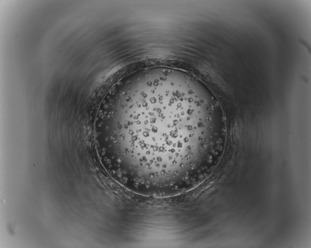 X0000100230822200806061407
