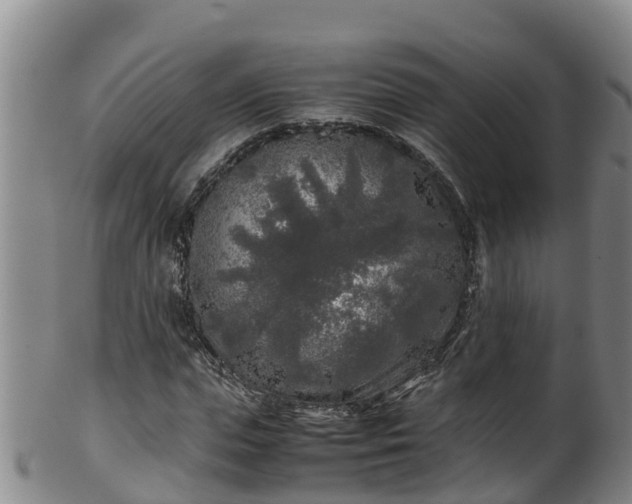 X0000100230823200806061407