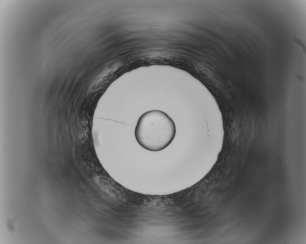 X0000100230824200806061407