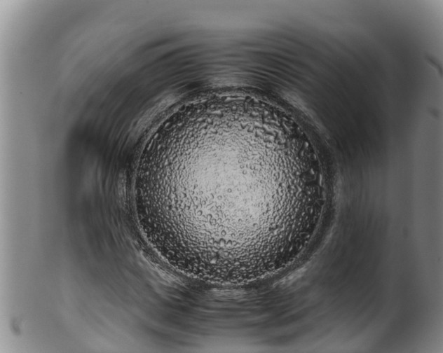 X0000100230825200806061407