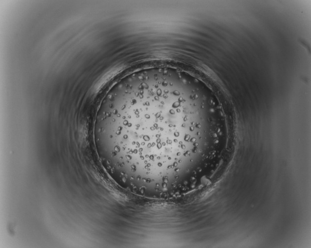 X0000100230826200806061407