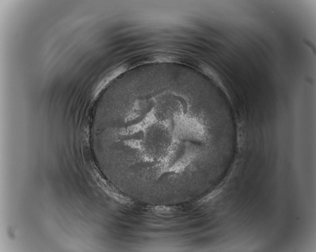 X0000100230827200806061407