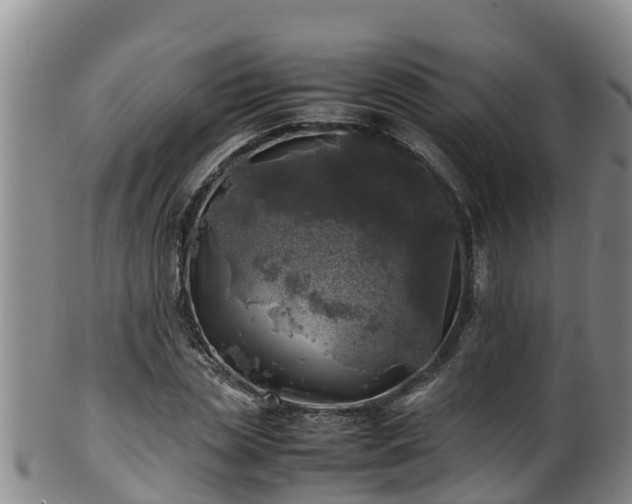 X0000100230829200806061407