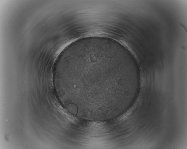 X0000100230830200806061407