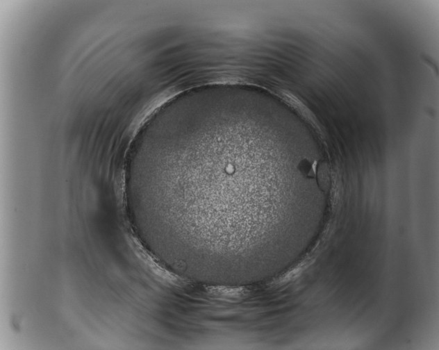X0000100230831200806061407
