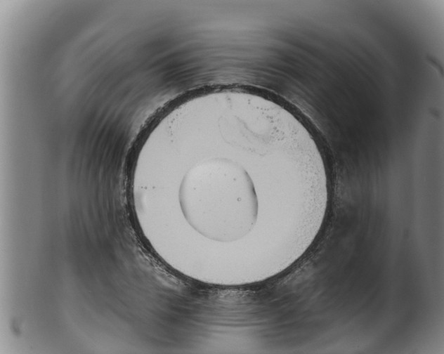 X0000100230832200806061407