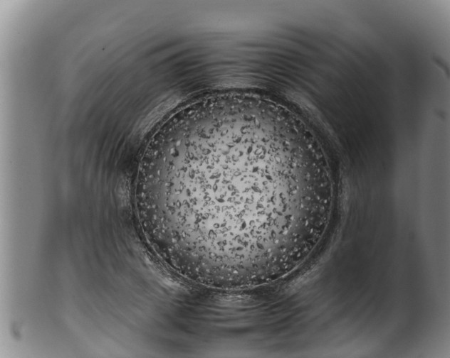 X0000100230833200806061407