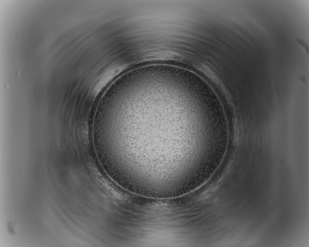 X0000100230834200806061407