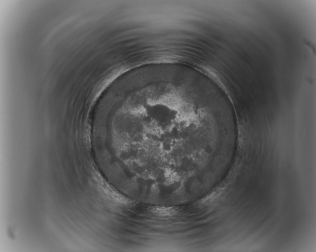 X0000100230835200806061407