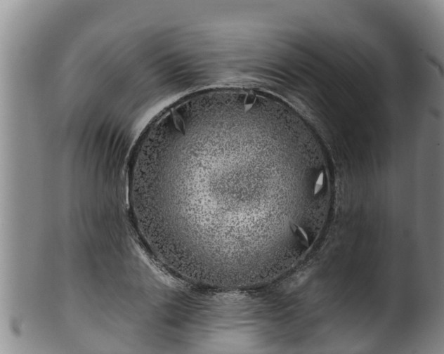 X0000100230838200806061407