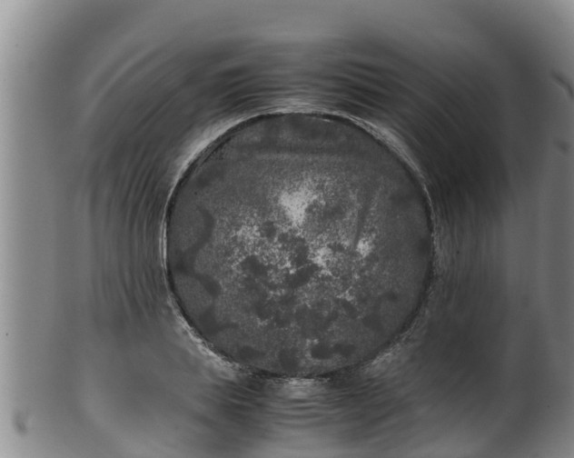 X0000100230839200806061407