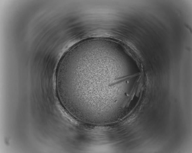 X0000100230840200806061407