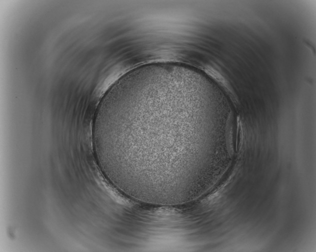 X0000100230842200806061407