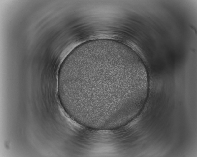 X0000100230844200806061407