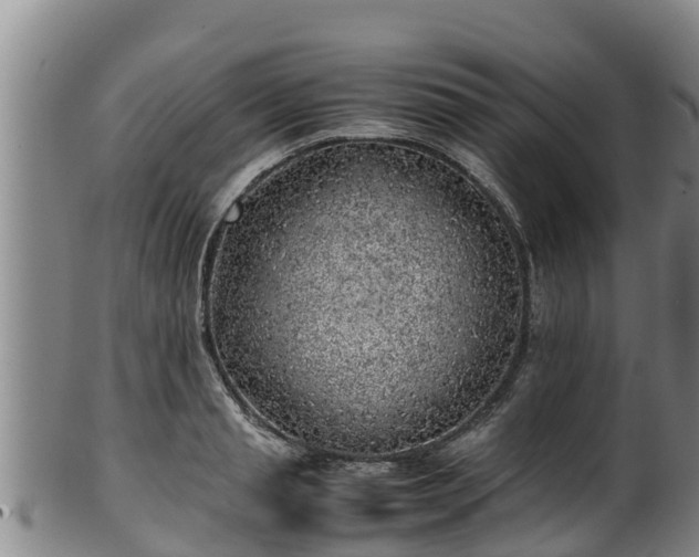 X0000100230845200806061407