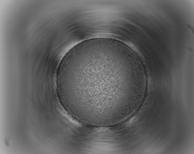 X0000100230846200806061407