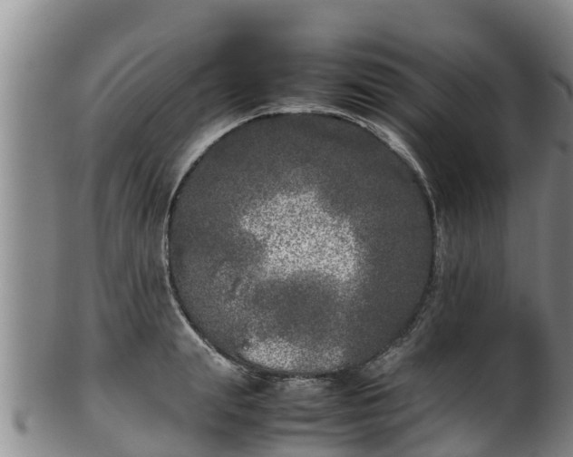 X0000100230847200806061407