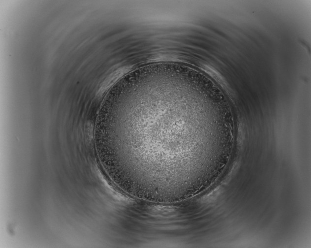 X0000100230849200806061407