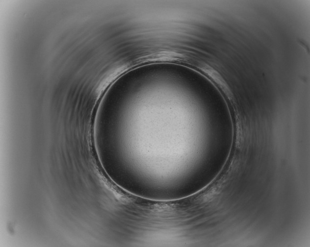 X0000100230850200806061407