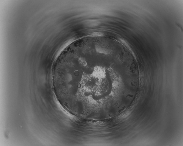 X0000100230851200806061407