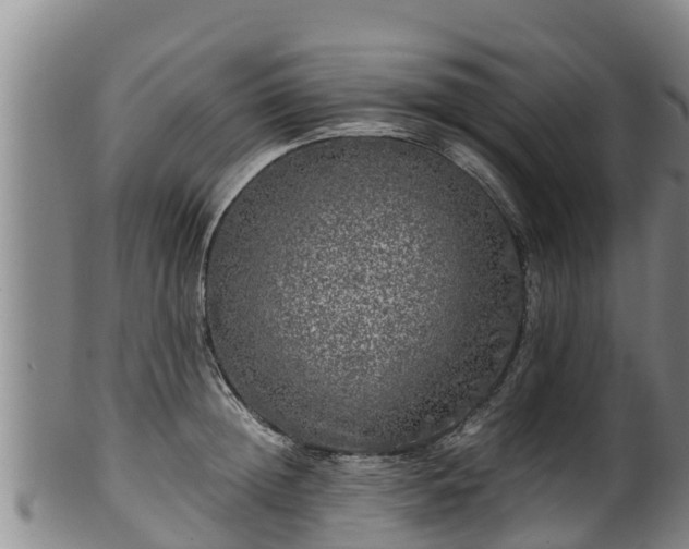 X0000100230852200806061407