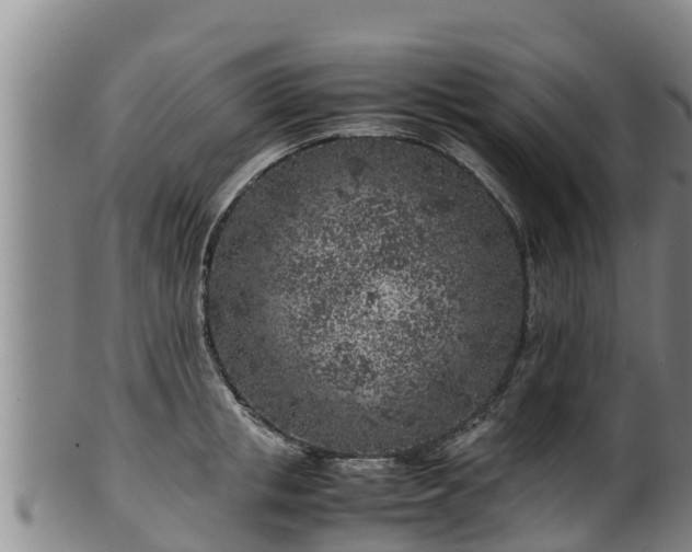 X0000100230853200806061407