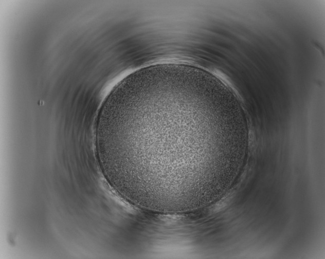 X0000100230854200806061407