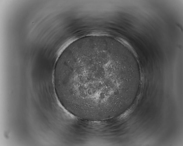 X0000100230855200806061407