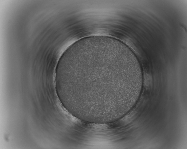 X0000100230856200806061407