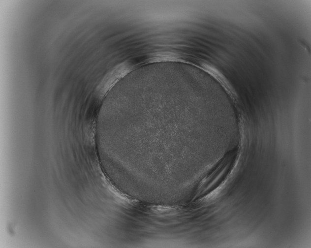 X0000100230857200806061407