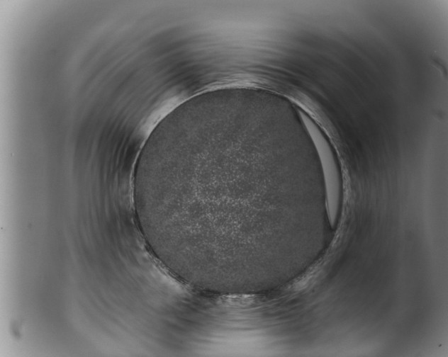 X0000100230858200806061407